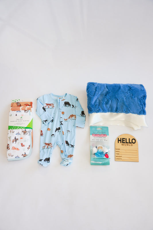 Blue Cows on The Farm Newborn Gift Box