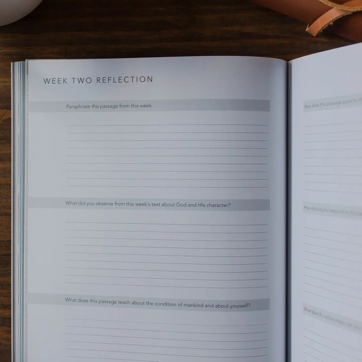 Colossians | Rooted in Him - Men Book