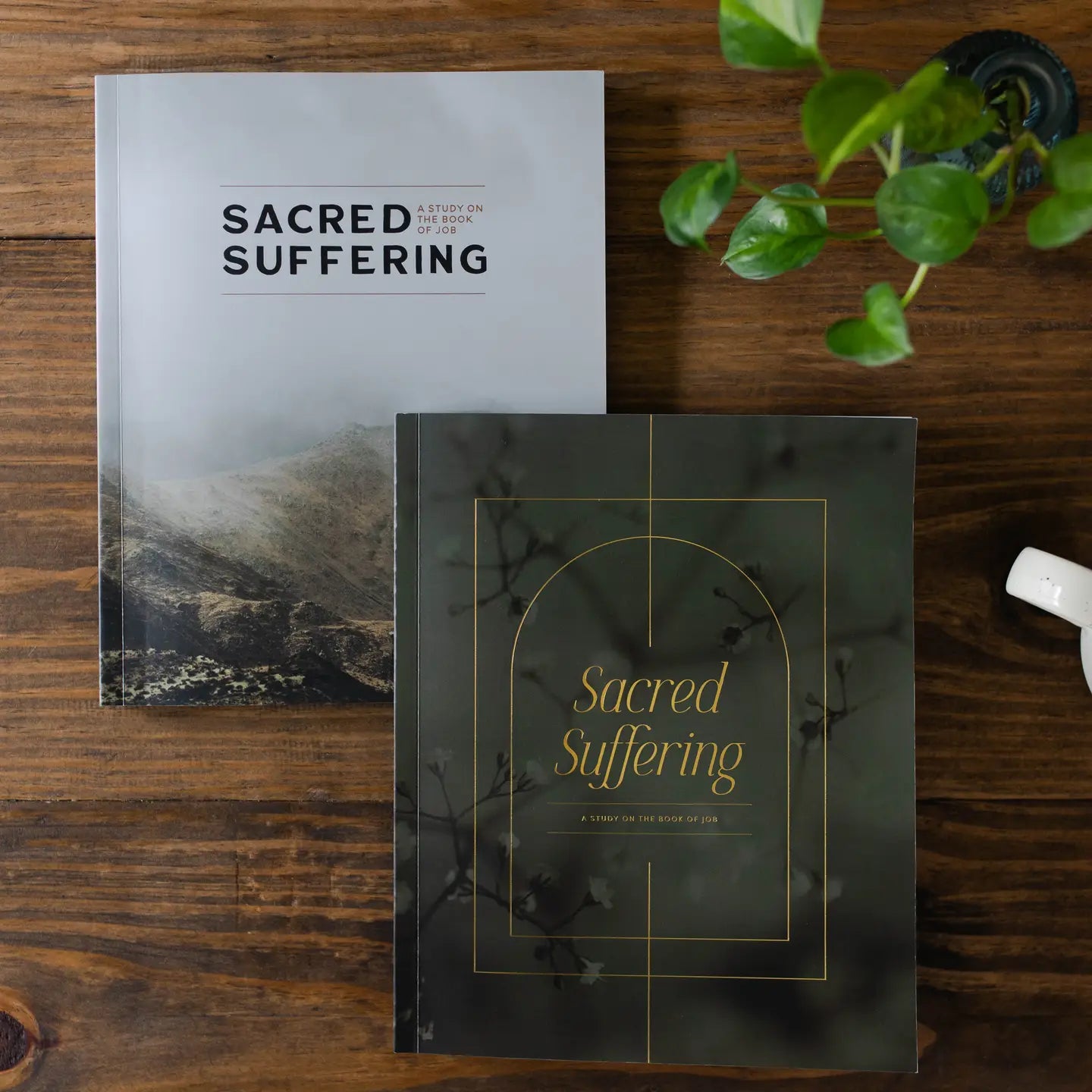 Sacred Suffering | A Study On the Book of Job - Men