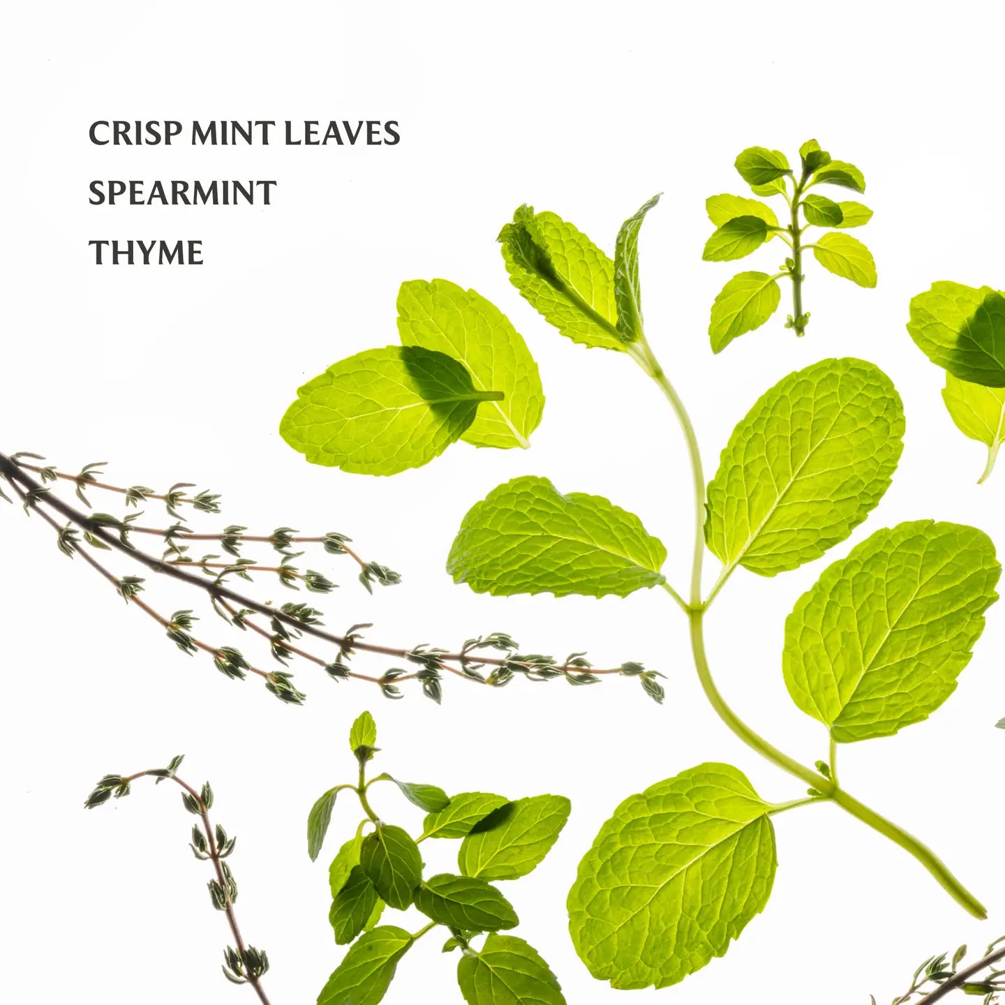 Touchland Frosted Mint Power Mist Hydrating Hand Sanitizer