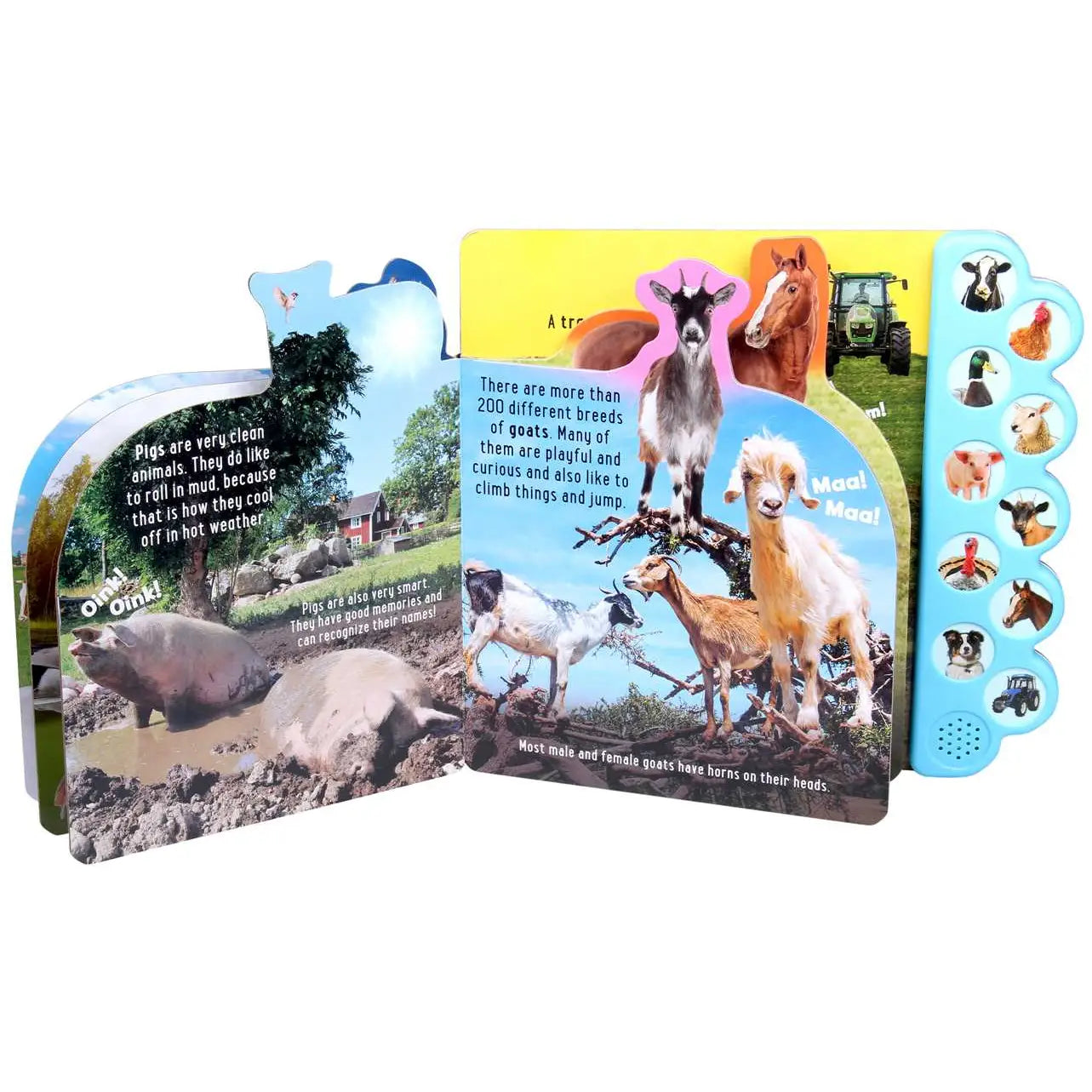 Discovery: Oink On the Farm! By Thea Feldman