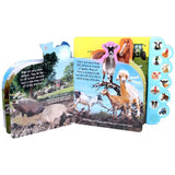 Discovery: Oink On the Farm! By Thea Feldman