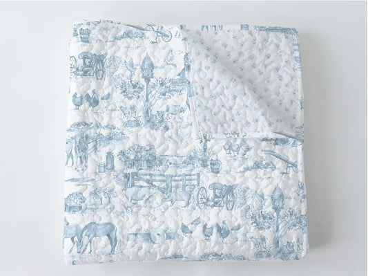 Ida Mae- Aledo toile blue baby blanket