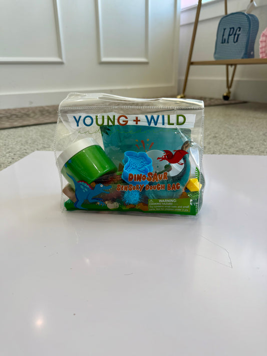 YWF Dinosaur Sensory Dough Bag