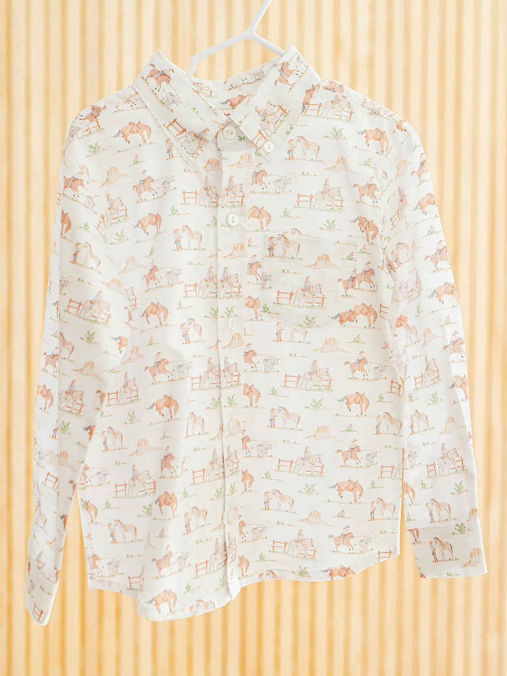 Western Toile Boys Button Up Shirt