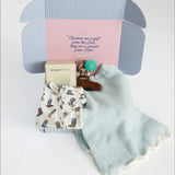 Boys Little Boots Newborn Box