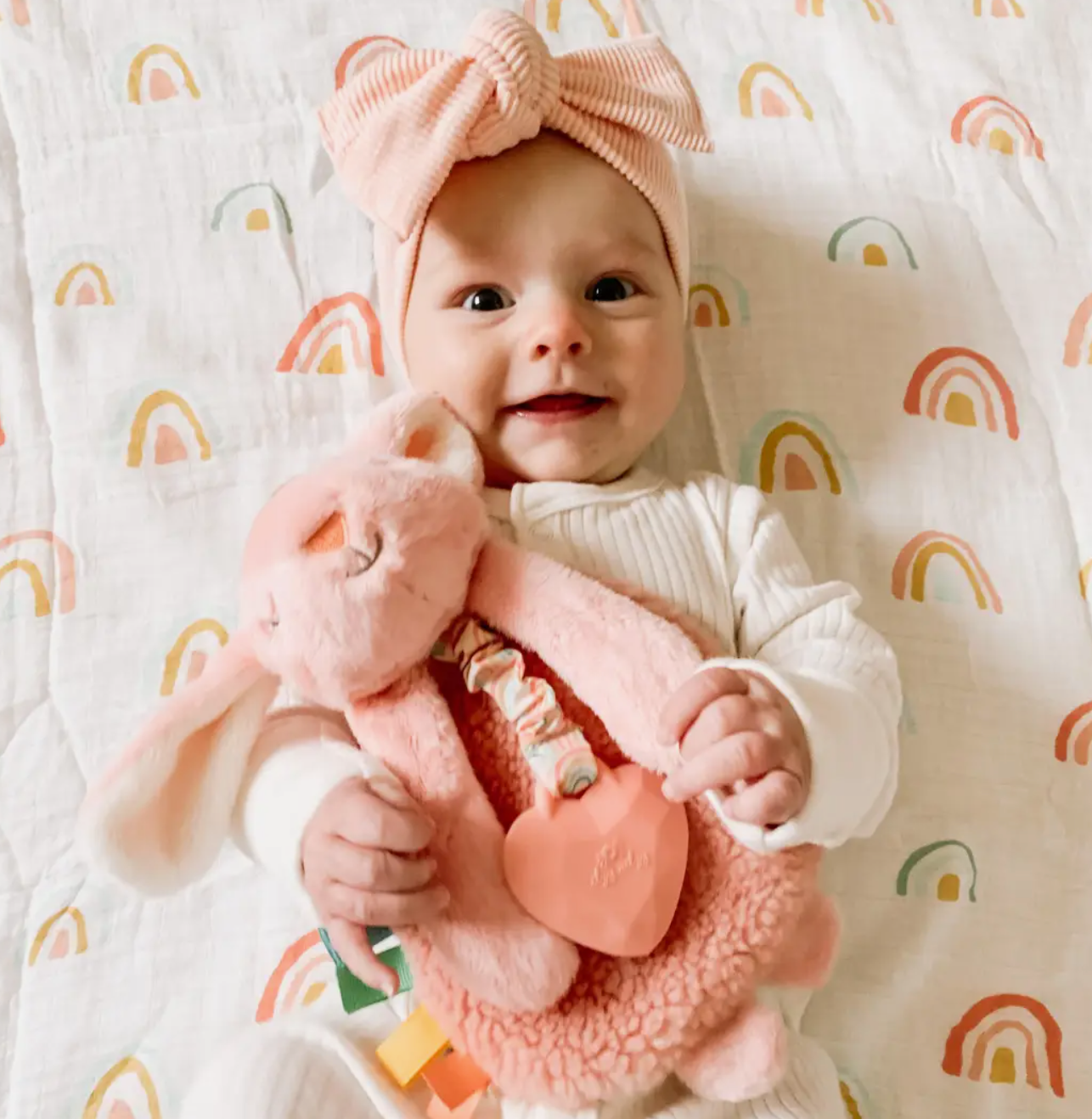 Itzy Ritzy Teether & Toy- Anna The Bunny Toy