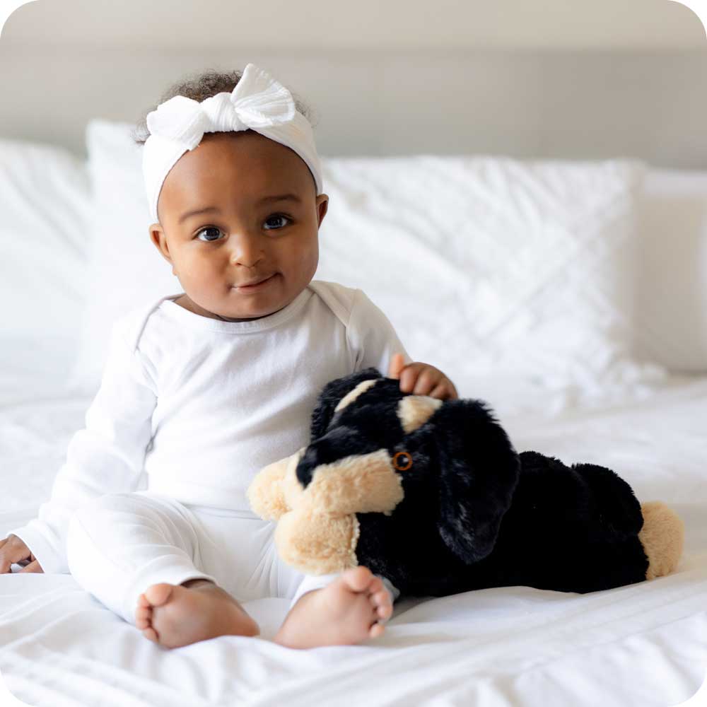 Warmies - Dachshund Puppy Stuffed Toy