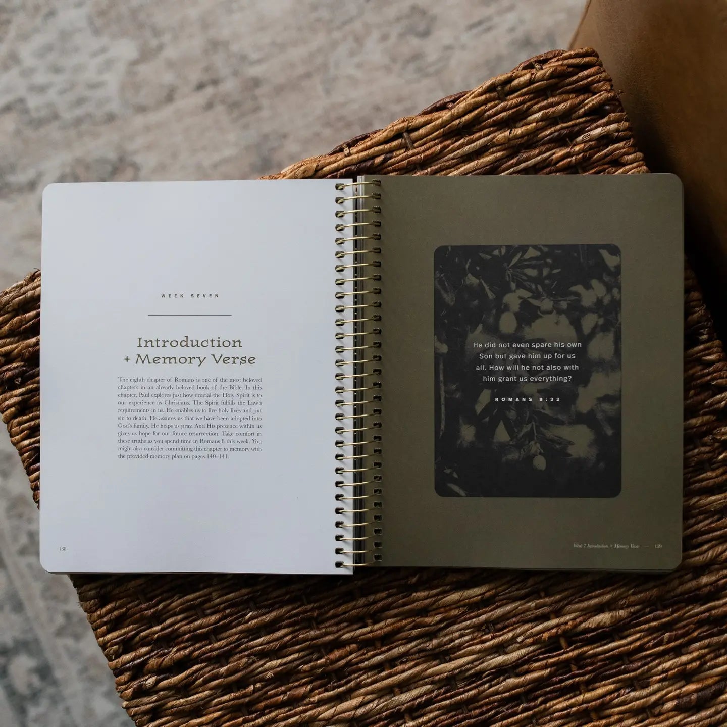 In Christ Alone: A Study On the Book of Romans - Men's Book