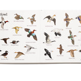 The Big Book of Hunting