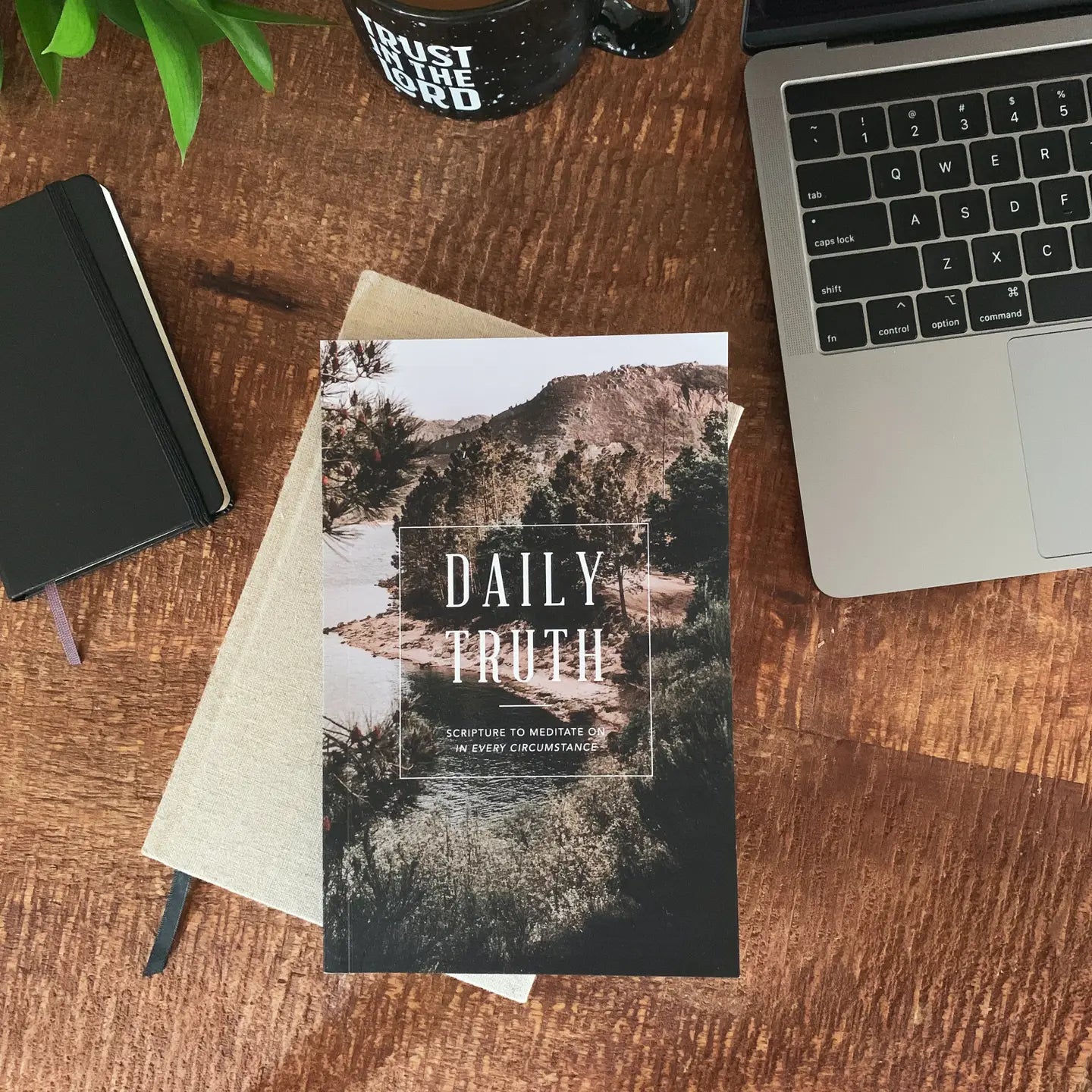 Daily Truth - Men Book