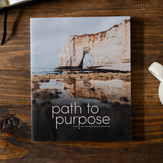 Path To Purpose | A Study On the Book of Ecclesiastes - Men