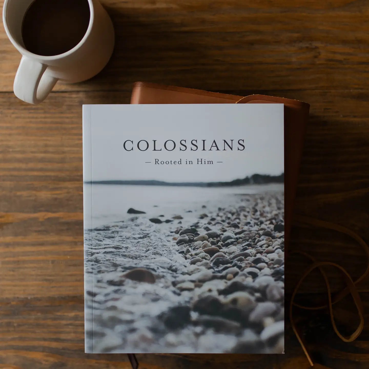 Colossians | Rooted in Him - Men Book